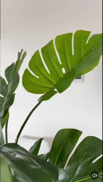 Video de Planta Artificial Monstera Costilla de Adan 90 cm