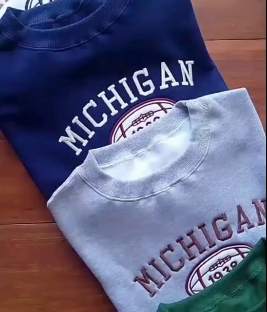 Video de Buzo Michigan