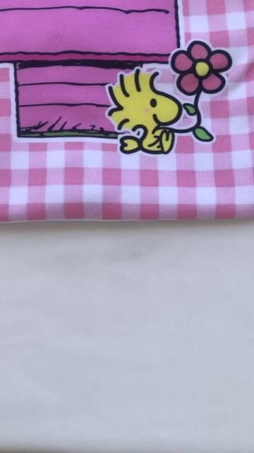 Vídeo de Snoopy xadrez - Suede