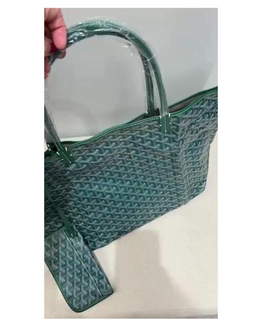 Vídeo de Bolsa Goyard Saint Louis Gm Verde