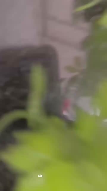 Vídeo de Paulimarx Conceito - O melhor em metais para sua Casa: Torneira, Chuveiro, Ducha, Ralo, Misturador, Válvula, Acabamento