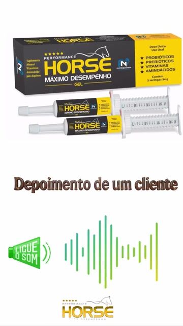 Vídeo de Performance Horse