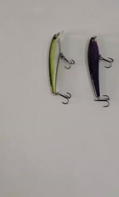 Video de Pezcalandia