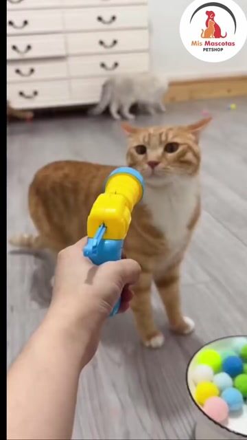 Video de Pelota lanza pelotas