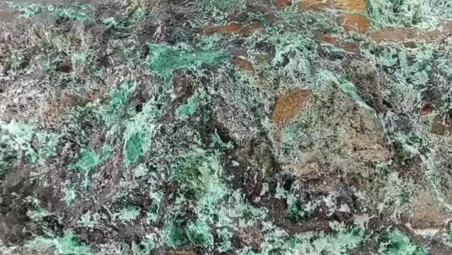 Video de 1.23 kg Brochantita, Atacamita y Calcita (1 pz) - Mineral de Colección