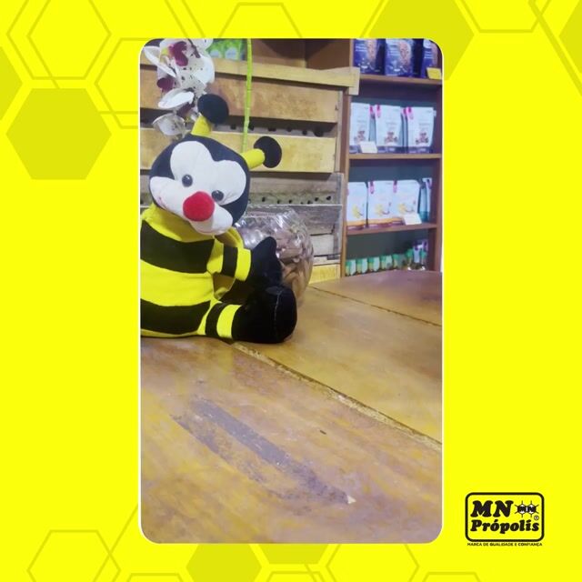 Vídeo de MN Própolis