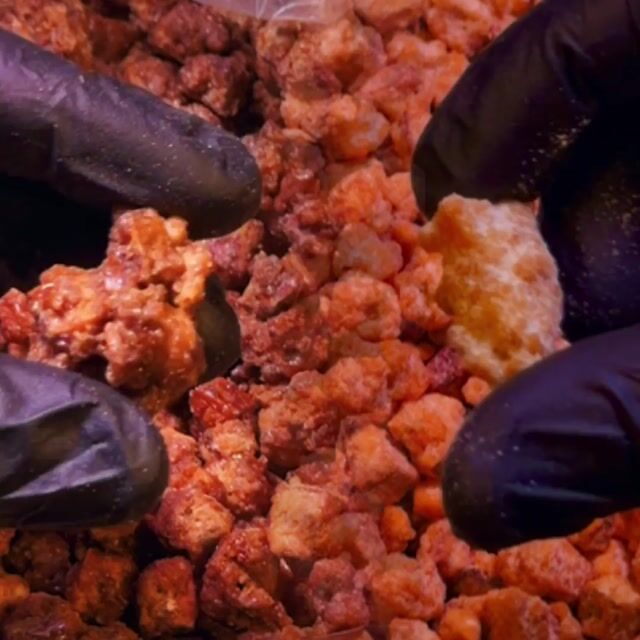 Vídeo de Grão Nutriworld