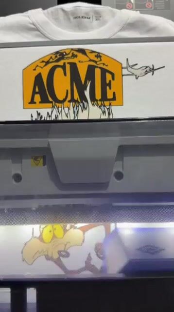 Video de Remera Coyote Acme