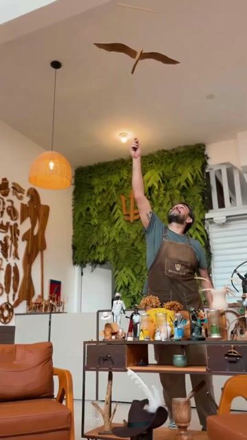 Vídeo de Pássaro com Movimento de Teto - 80cm Larg