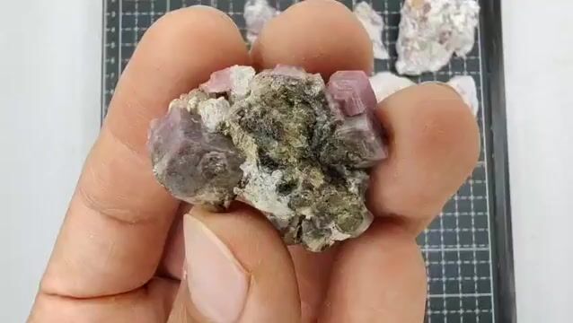 Video de 200 gr Granate Frambuesa con Vesuvianita de Coahuila (8 pz) - Minerales de Colección