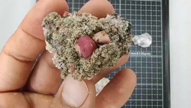 Video de 202 gr Granate Frambuesa de Coahuila (5 pz) - Minerales de Colección