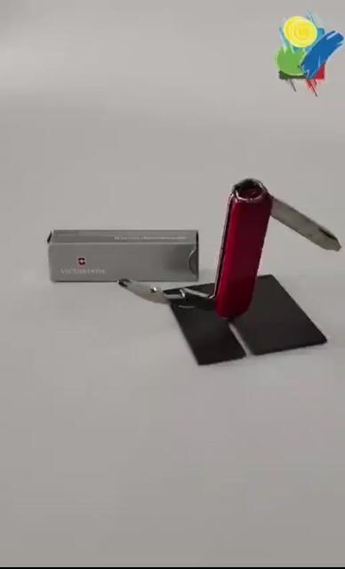 Video de Pezcalandia