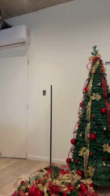 Video de Grandes Tiendas