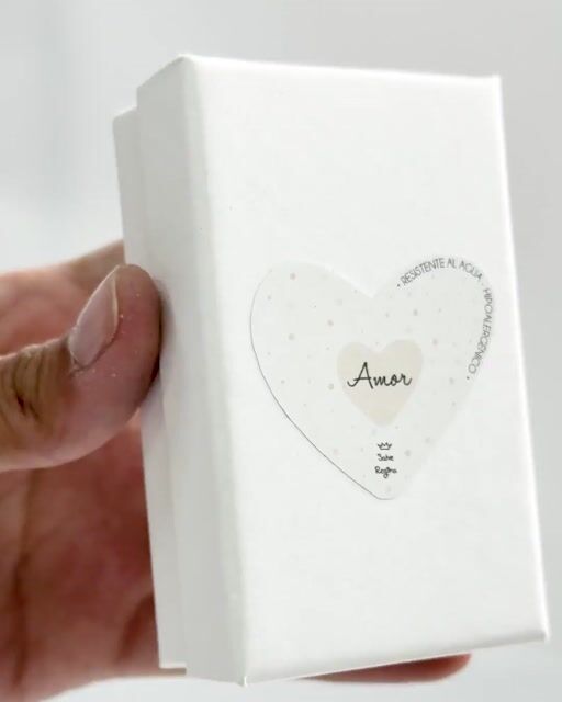 Video de Salve Regina