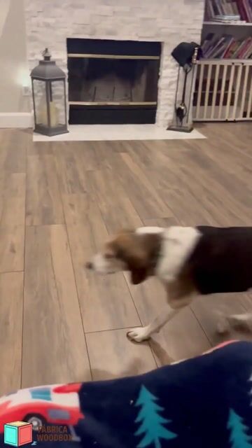 Vídeo de Escada Pet Cachorro 4 Degraus Antiderrapante MDF Cães Todos os Portes Gato Idoso Cama Sofá Rampa