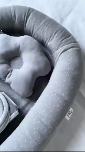 Video de perezoso
