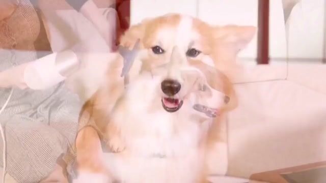 Vídeo de  RT. BURGUESINHA LOJA