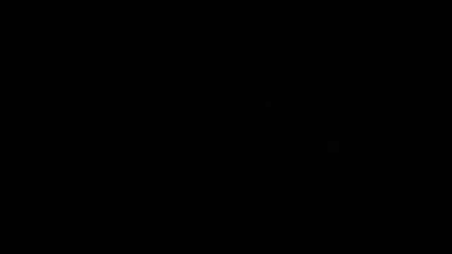 Video de Xplora La Triestina