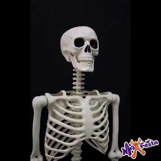 Vídeo de MaxFesta