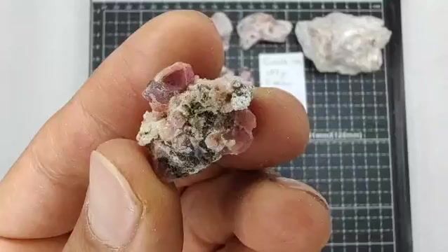 Video de 202 gr Granate Frambuesa con Vesuvianita de Coahuila (6 pz) - Minerales de Colección