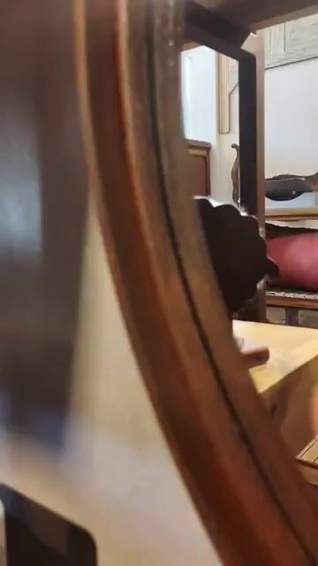 Video de Progetto Roma