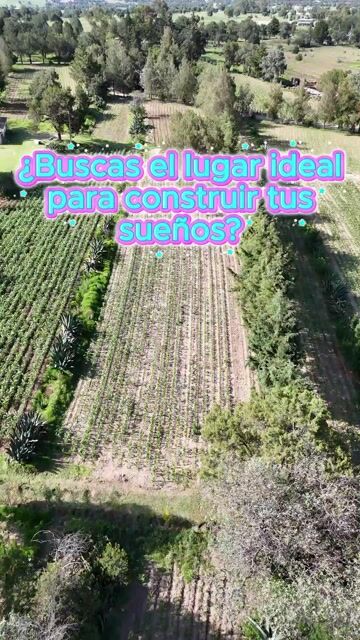 Video de Lotes San Simón Tlatlauquitepec