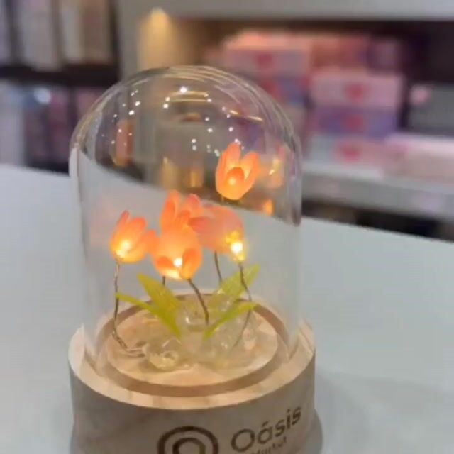 Vídeo de Luminária floral