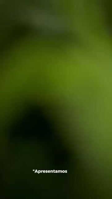 Vídeo de Paulimarx Conceito - O melhor em metais para sua Casa: Torneira, Chuveiro, Ducha, Ralo, Misturador, Válvula, Acabamento