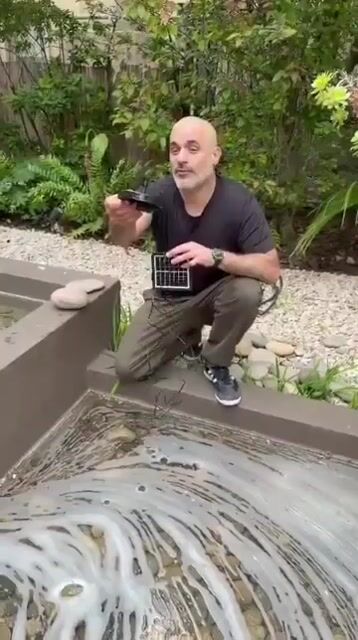 Video de Magnolias