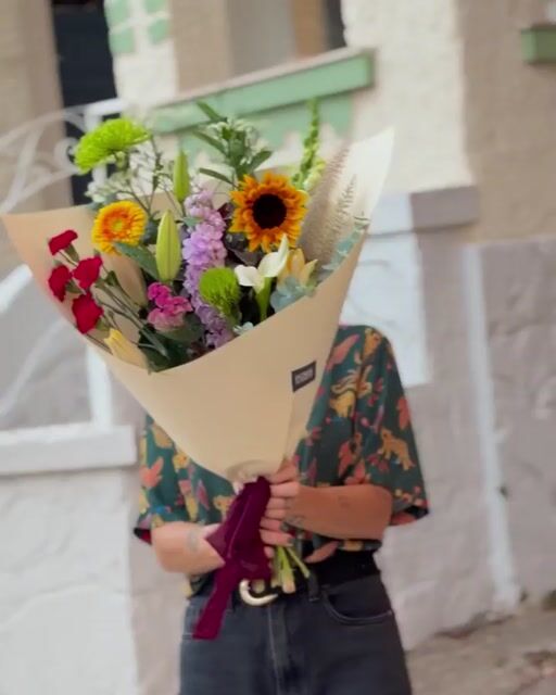 Vídeo de Flora de Verdade