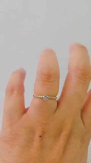 Vídeo de Aevi Galeria