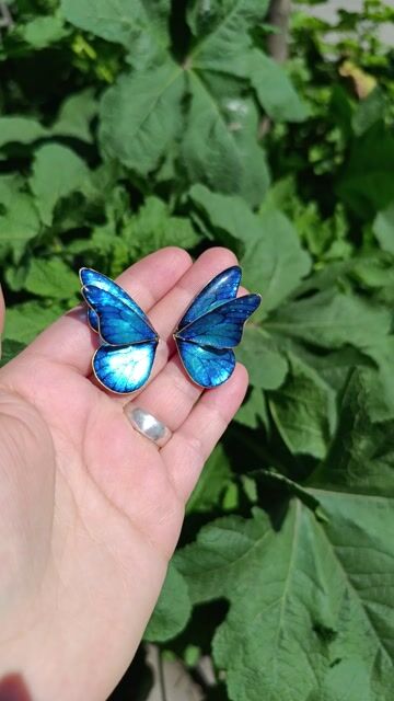 Video de AROS MARIPOSA AZUL