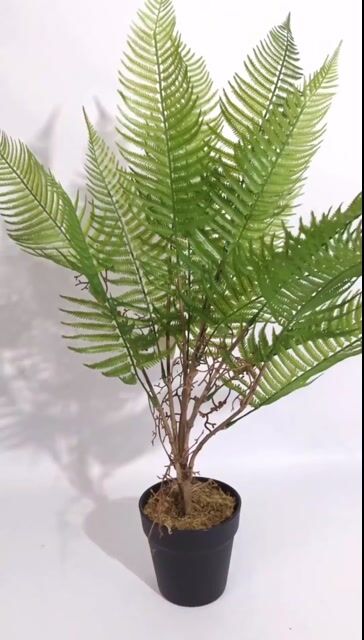 Video de Planta Artificial Helecho 75 cm