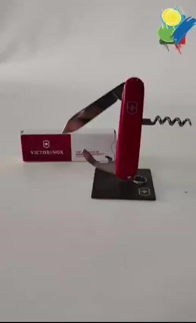Video de Pezcalandia