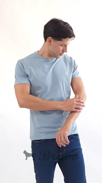 Video de Remera básica celeste