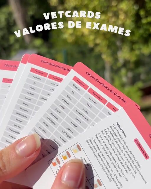Vídeo de Loja VetCards