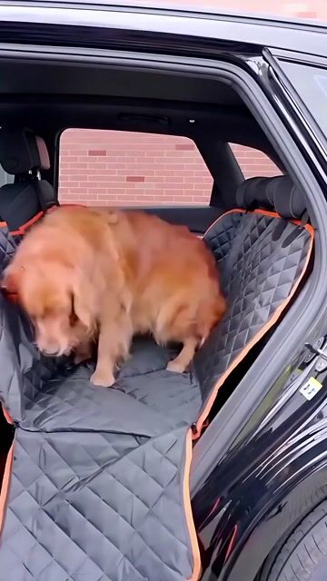 Video de Cobertor de auto para mascotas