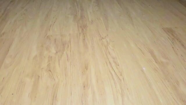 Video de Mishito