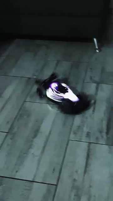Video de AUTO RADIO CONTROL RACERS PRO