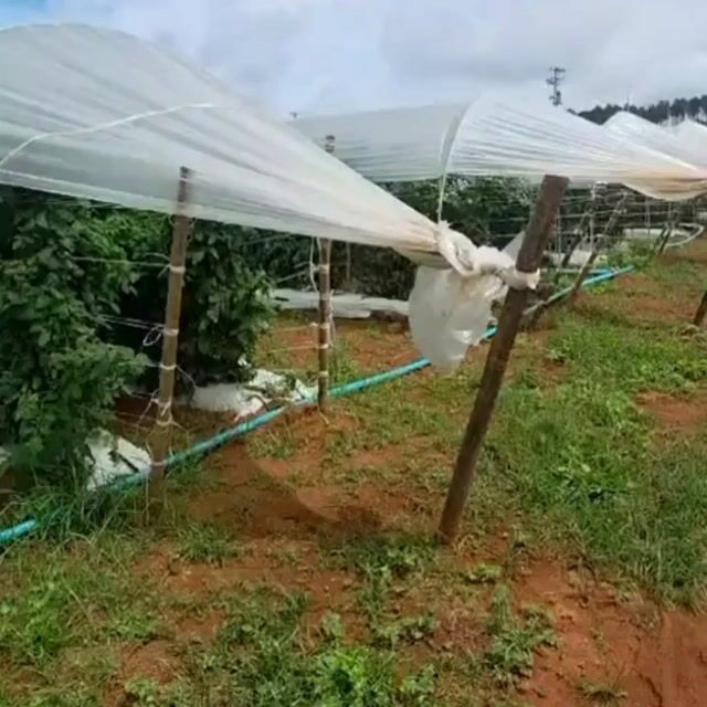 Vídeo de ArcoForte