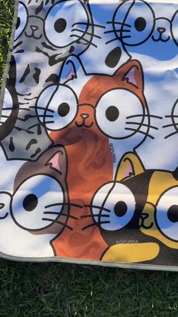 Video de Ropurra | El universo purrfecto de los Catlovers