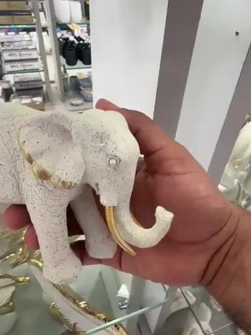 Vídeo de América Presentes