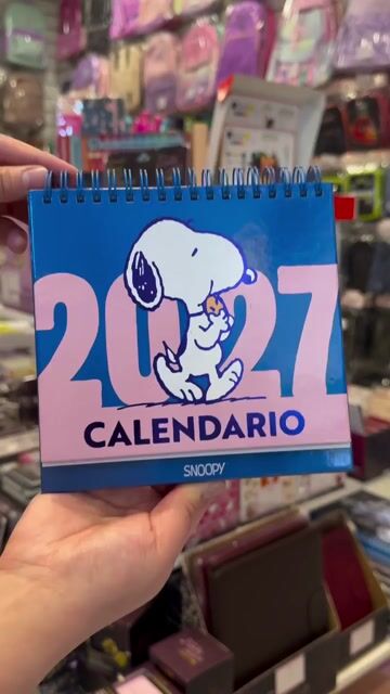 Video de Libreria y Papeleria Ramos