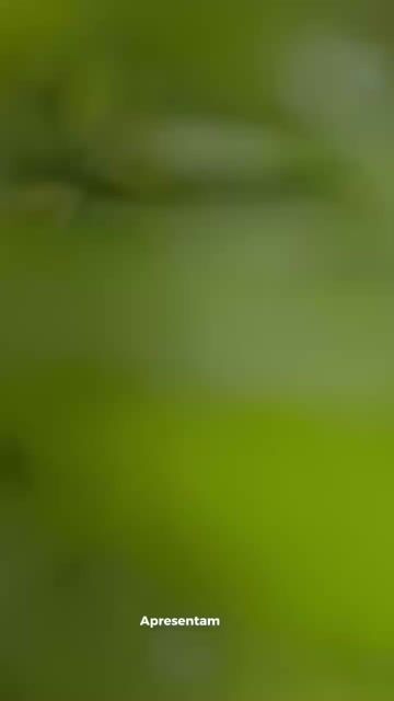 Vídeo de Paulimarx Conceito - O melhor em metais para sua Casa: Torneira, Chuveiro, Ducha, Ralo, Misturador, Válvula, Acabamento