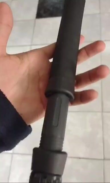 Video de Pezcalandia
