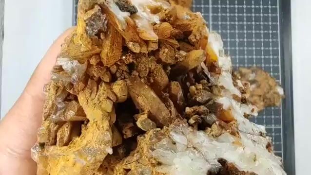 Video de 894 gr Cuarzo Hematoidal Tangerine con Cuarzo (6 pz) - Minerales de Colección