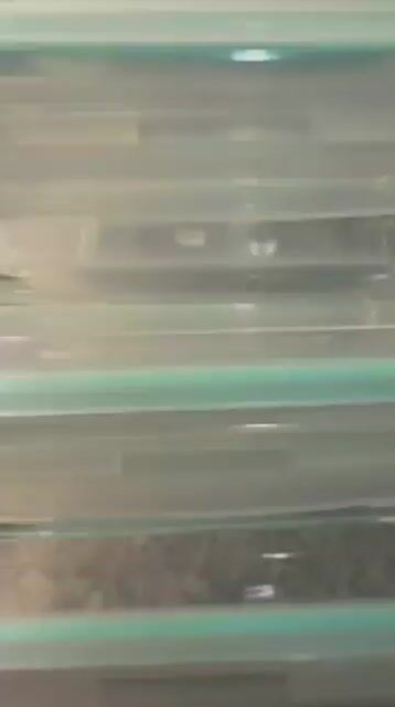 Video de KOABIT