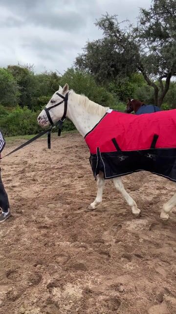 Video de Manta Classic Madoc