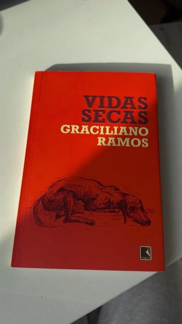 Vídeo de Livros do Rochi