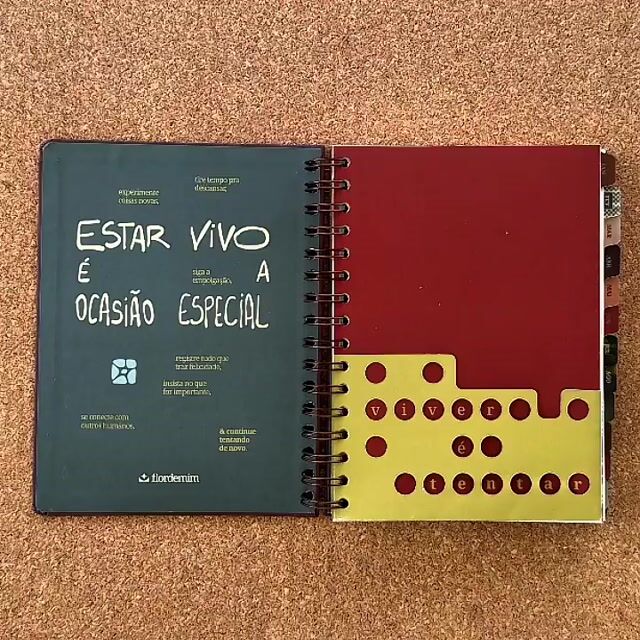 Vídeo de flordemim | produtividade & rotina 